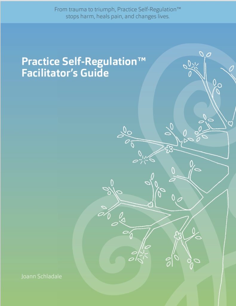 PSR Facilitators Guide image for pdf document